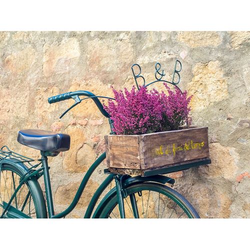 Eggers, Julie 아티스트의 Italy-Tuscany-Monticchiello Bicycle with bright pink heather in the basket작품입니다.